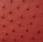 Jemma Ostrich Leather Handbag