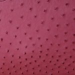 Mandy Ostrich Leather Handbag