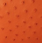 Mandy Ostrich Leather Handbag