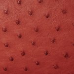 Mandy Ostrich Leather Handbag