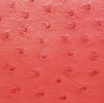 Mandy Ostrich Leather Handbag