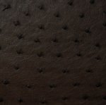 Sumaya Ostrich Leather Handbag