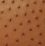 Sumaya Ostrich Leather Handbag