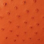 Anathi Ostrich Leather Bag