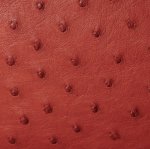 Anathi Ostrich Leather Bag