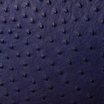 Anathi Ostrich Leather Bag