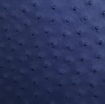 Anathi Ostrich Leather Bag