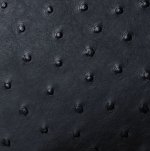 Victoria Ostrich Leather Handbag