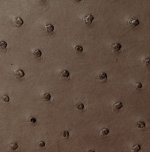 Victoria Ostrich Leather Handbag