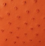 Victoria Ostrich Leather Handbag