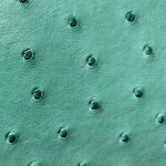 Victoria Ostrich Leather Handbag