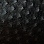 Victoria Ostrich Leather Handbag