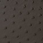 Victoria Ostrich Leather Handbag