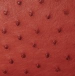 Victoria Ostrich Leather Handbag