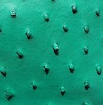 Victoria Ostrich Leather Handbag