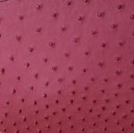 Zoe Ostrich Leather Sling Bag