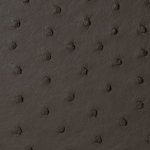 Zoe Ostrich Leather Sling Bag