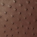 Zoe Ostrich Leather Sling Bag