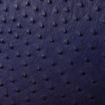 Beth Ostrich Leather Handbag