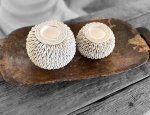 Off White Cowrie Shell Tea Lights - 3" x 4"